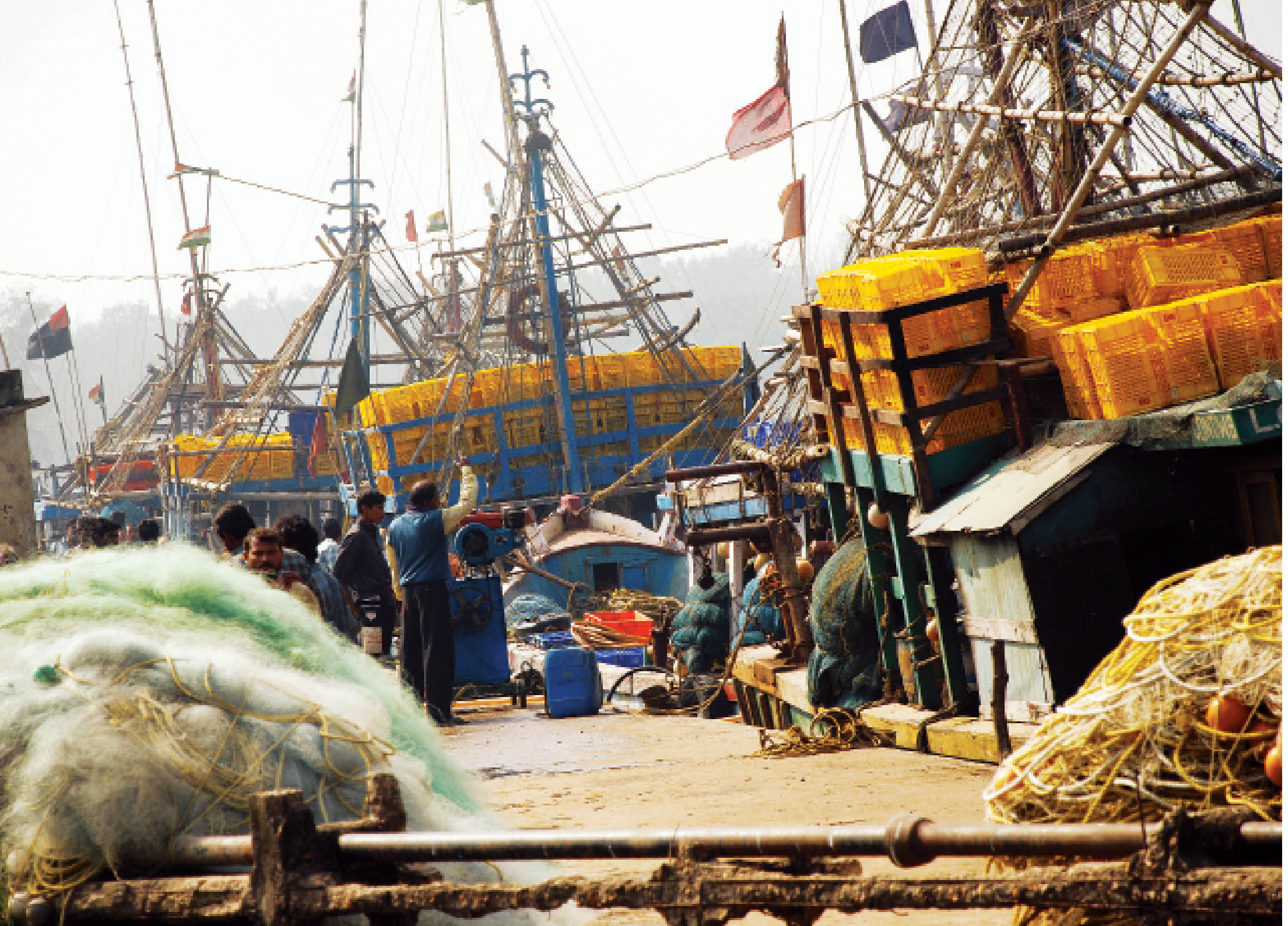 Climate change and Indian marine fisheries options for adaptation